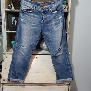 🍀Lucky Brand Dylan Boyfriend (Legend)